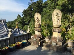 Lotus Daishoin Miyajima.jpg