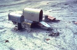 MSH80 mailboxes along cowlitz river 1980.jpg