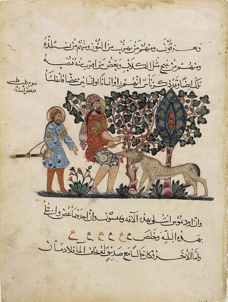 File:Medieval rabies folio.jpg