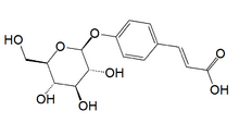 Skeletal formula of p-coumaric acid glucoside