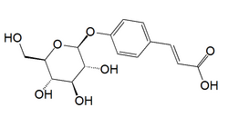 P-coumaric acid glucoside.png