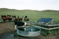 Solar water pump.jpg