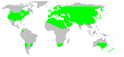 Distribution.dysderidae.1.png