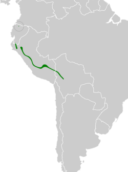 Grallaricula leymebambae map.svg