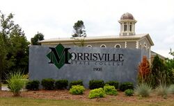 MSC Sign.jpg