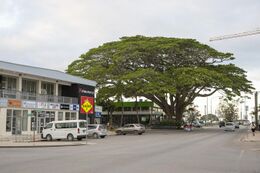 Nukualofa Tonga 2.jpg