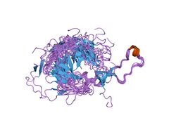 PDB 1hhn EBI.jpg