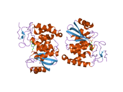 PDB 2ef1 EBI.png