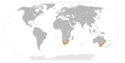 Parvalustra exigua distribution map.svg