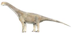 Tehuelchesaurus benetezii.jpg