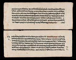 A section of the Carakasamhita - sutrasthana Wellcome L0040423.jpg