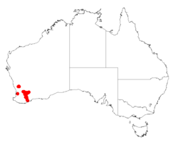 Acacia arcuatilisDistMap60.png