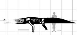 Brachiosuchus.jpg