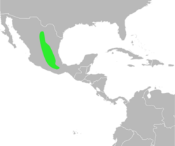 Bufo occidentalis distribution.svg