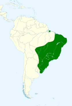 Colaptes melanochloros map.svg