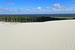 Dunes of Łeba kz07.jpg