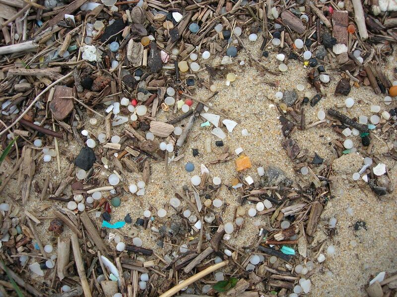 File:Granulés plastiques industriels sur une plage de la côte Aquitaine.JPG