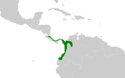 Myiornis atricapillus map.svg