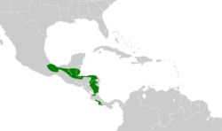 Ornithion semiflavum map.svg