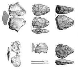 Paleoliths from gravel at Chapel Pill Farm Wellcome M0012838.jpg