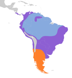 Pygochelidon cyanoleuca map.svg