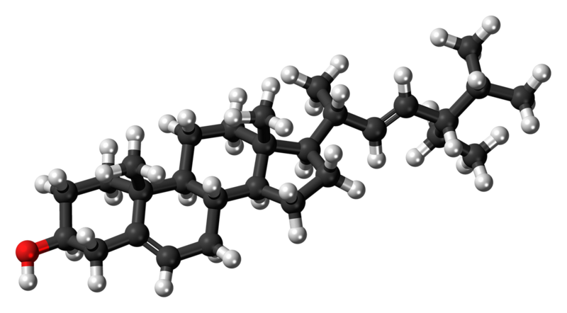 File:Stigmasterin molecule ball.png