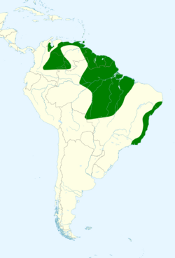 Turdus fumigatus map.svg