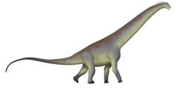 Alamosaurus.png