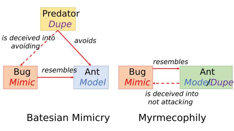 File:Ant Mimicry Types.svg