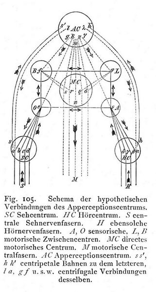 File:Apperzeptionszentrum (Wundt, Grundzüge, 1903, 5th ed. Vol. 1, p. 324).jpg