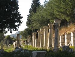 Colonnade in Ephesus.jpg