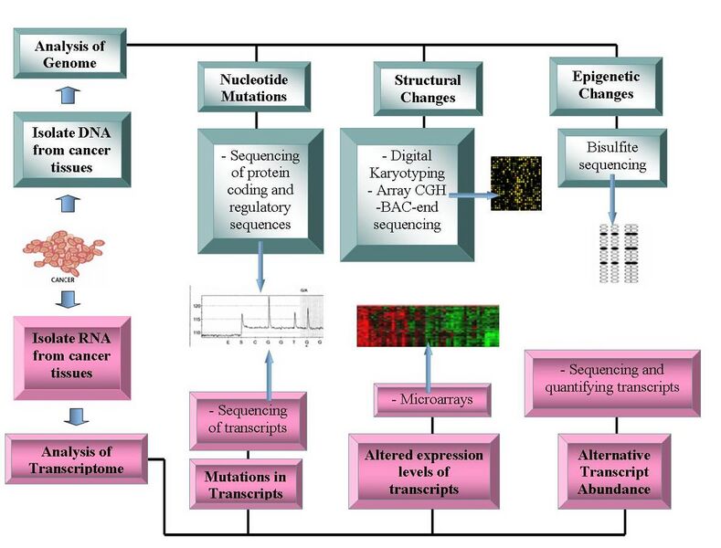 File:Current technologies being used in Oncogenomics.jpg