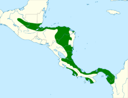 Cyanerpes lucidus map.svg