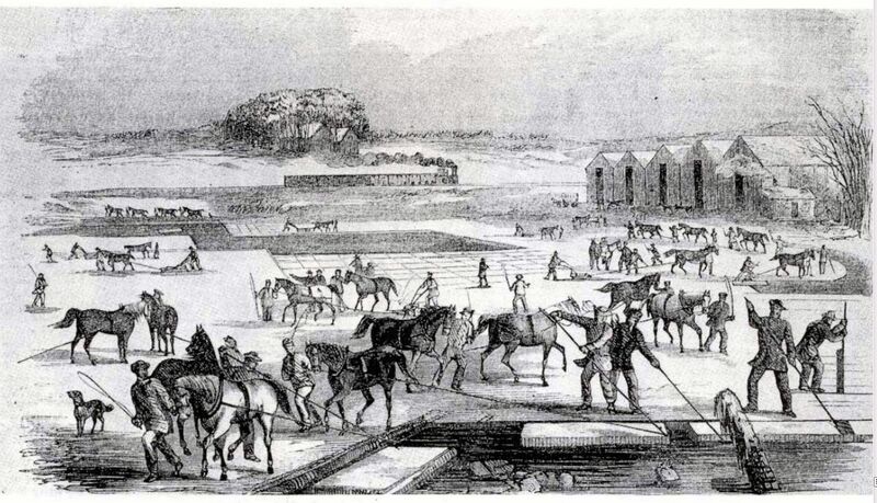 File:Ice Harvesting, Massachusetts, early 1850s.jpg