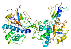 Protein CD74 PDB 1icf.png
