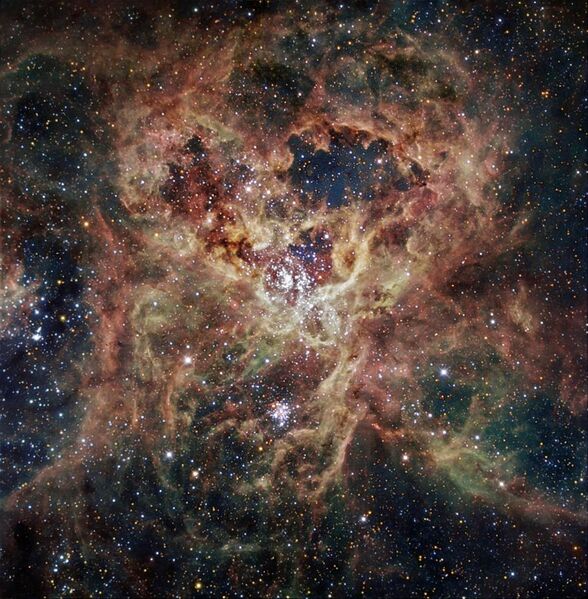 File:The Tarantula Nebula (30 Doradus or NGC 2070).jpg