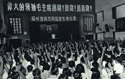 1967-08 1967年 香港电车工人罢工2.jpg