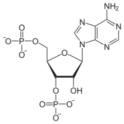 Adenosin-3',5'-bisphosphat.svg