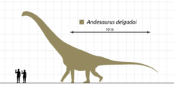 Andesaurus-Scale-Diagram-SVG-Steveoc86-001.svg