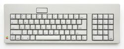 Apple (Standard) Keyboard M0116.jpg