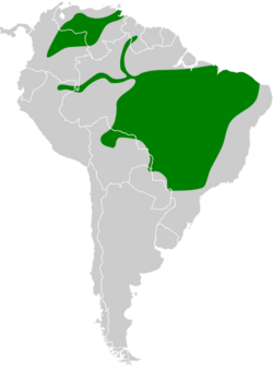 Cranioleuca vulpina map.svg