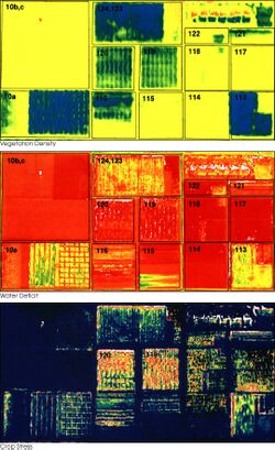 Daedelus comparison, remote sensing in precision farming.jpg