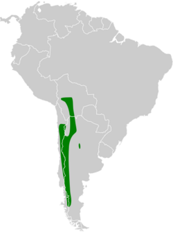 Geositta rufipennis map.svg