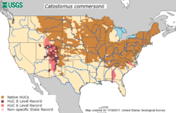 HUC Dispersal Map - Catostomus commersonii.png