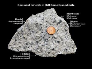 Half dome granodiorite.jpg
