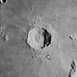 Harpalus crater 4158 h3.jpg