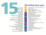 Human chromosome 15 from Gene Gateway - with label.png