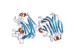 PDB 1vav EBI.jpg