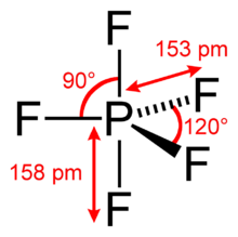 Structure of the phosphorus pentafluoride molecule