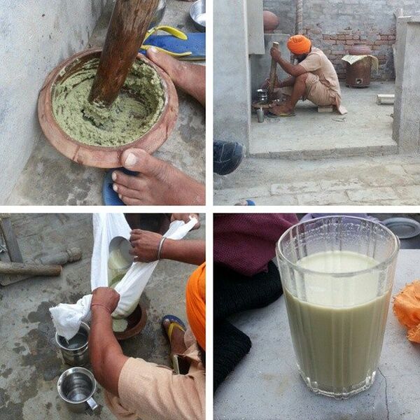 File:Process of making bhang in Punjab, India.jpg